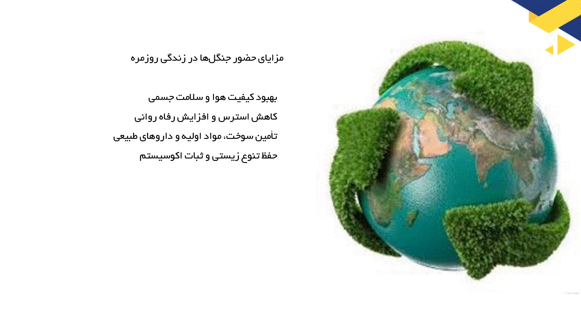 پاورپوینت در مورد جنگل‌ها و اثرات آن بر زندگی روزمره